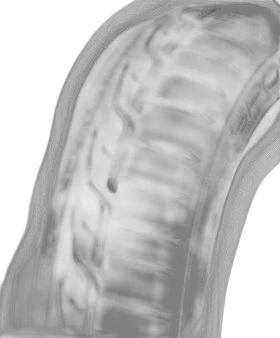 Dunlop SP Sport Maxx RT