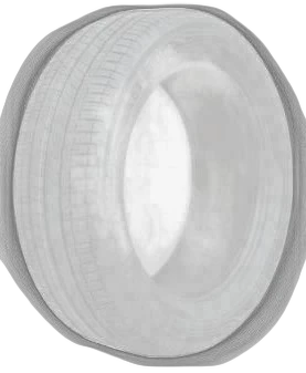 Dunlop Sport Classic