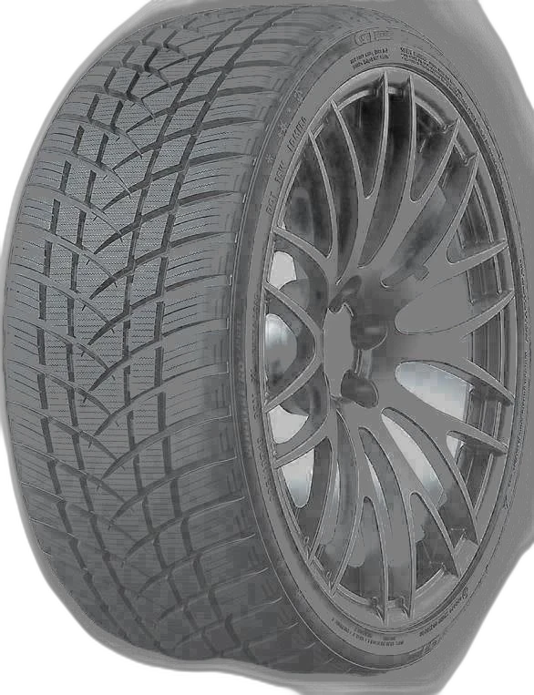 Gt Radial Winter Pro 2 Sport 