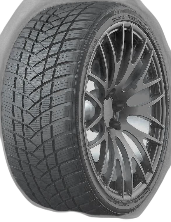 GT Radial WinterPro2 Sport