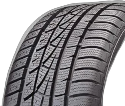 Hankook Winter i*cept evo W310