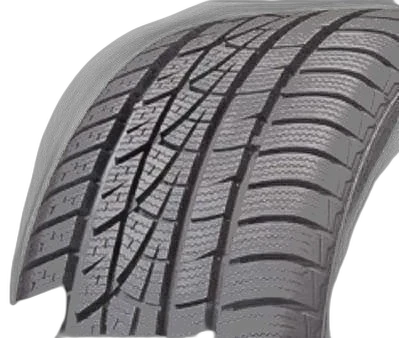 Hankook Winter i*cept evo W310B