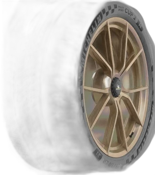 Michelin Pilot Sport Cup 2R 