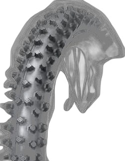 Dunlop GEOMAX MX12