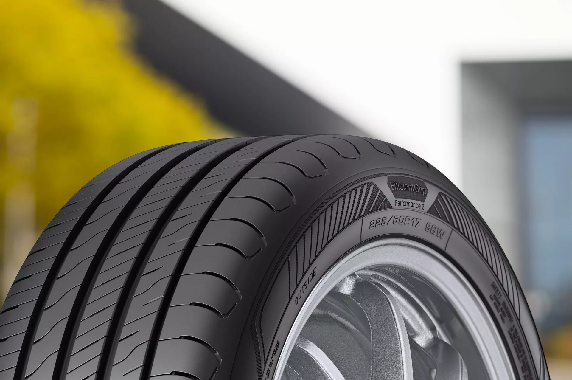 GoodYear Efficientgrip Performance 2