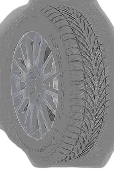 BF Goodrich g-force Winter