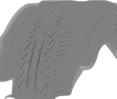 Firestone TZ300a